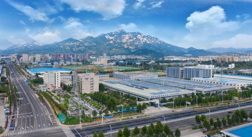 山東大唐宅配家居公司 以 數(shù) 提速,以 智 增效,加快轉(zhuǎn)型升級(jí)